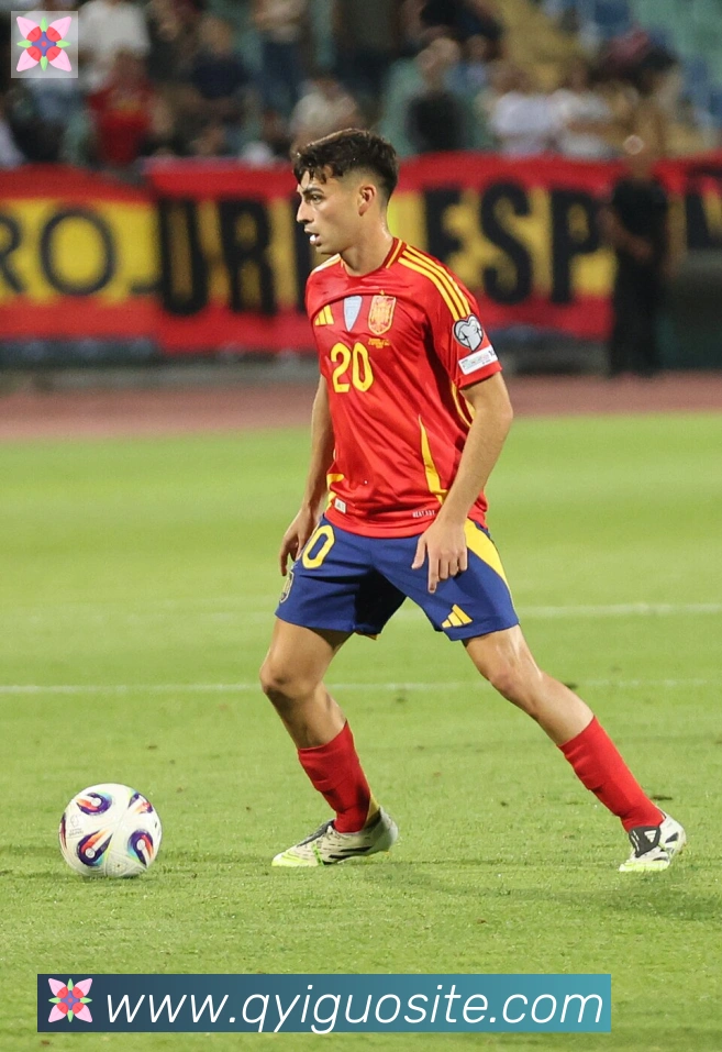维尼修斯